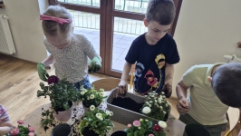 20260325_102805-kopiowanie-jpg1776848297